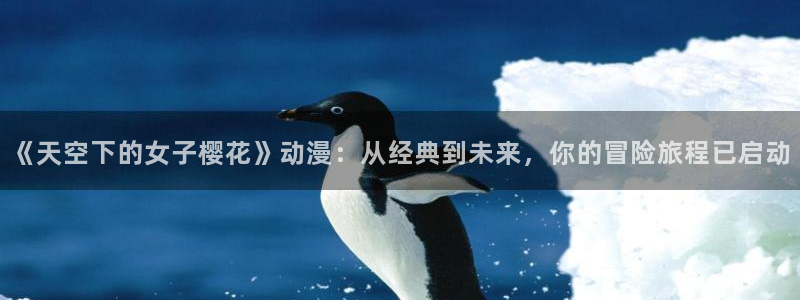 星空免费观看电影