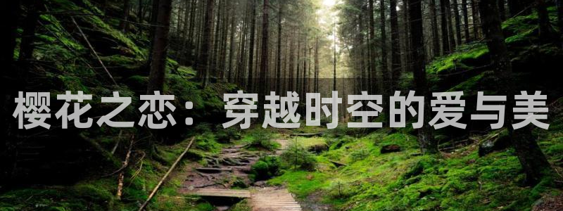 星空电影网