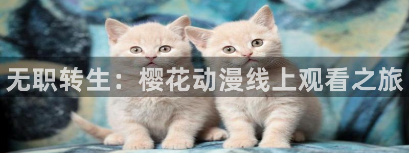 星空电影高清在线观看免费