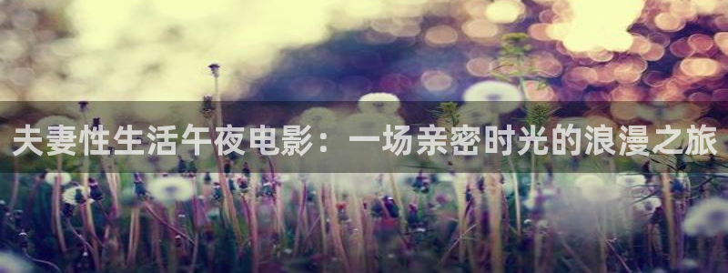 星空无限传媒在线观看免费高清电视剧