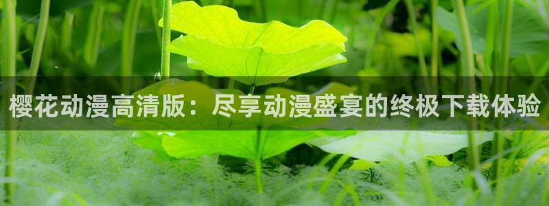星辰影院在线观看全集免费观看影视大全