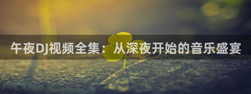 星空传媒免费视频观看