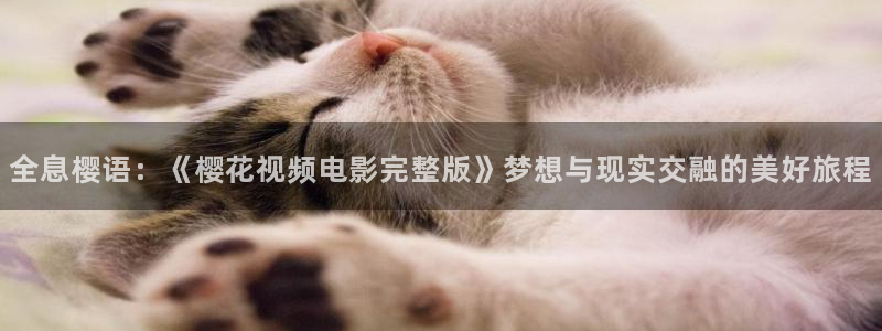 星辰影院电视剧免费看