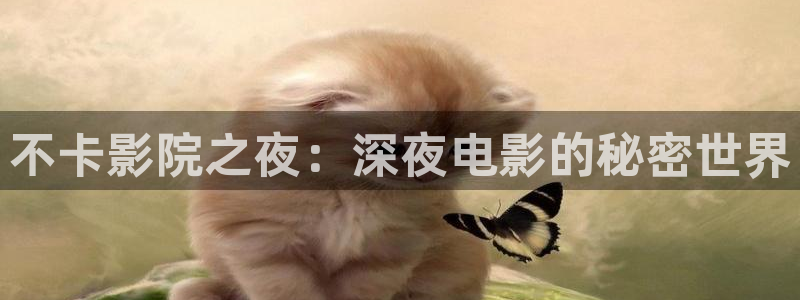 星辰影院私人影院入口