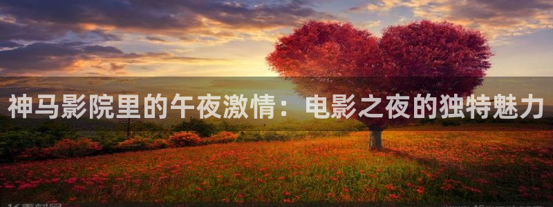 星空糖心天美mv