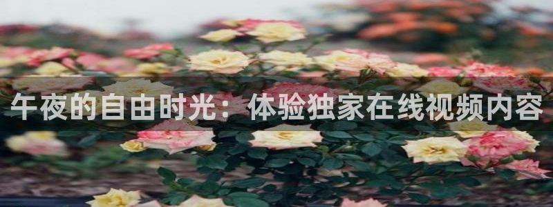 星空传媒影视在线播放