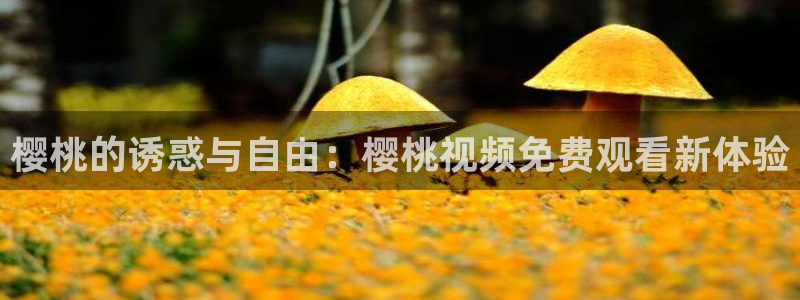 星辰影院在线下载