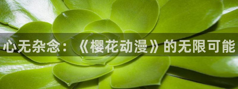 星辰影院免费观影