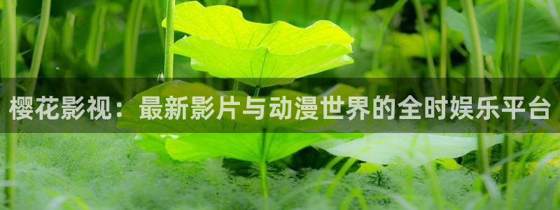 星辰影院 在线观看