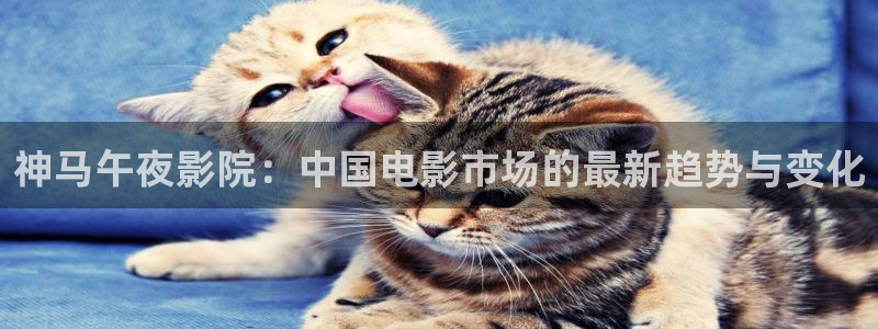 星空无痕mv电影在线观看免费视频