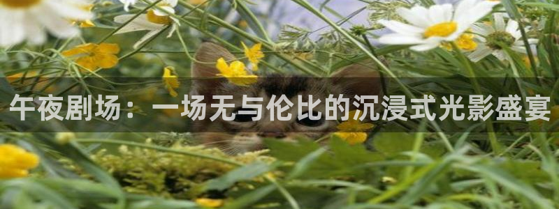 星空电影城影讯宿州
