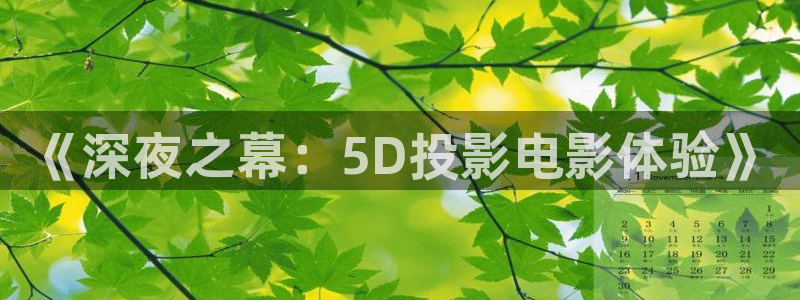 星空电影网官网