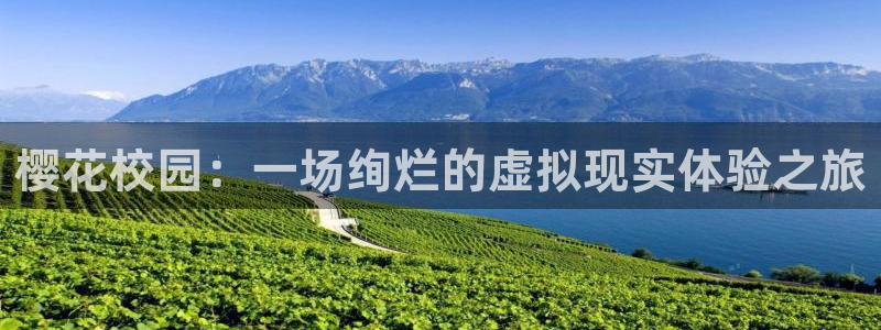 星空影视电影在线观看免费高清