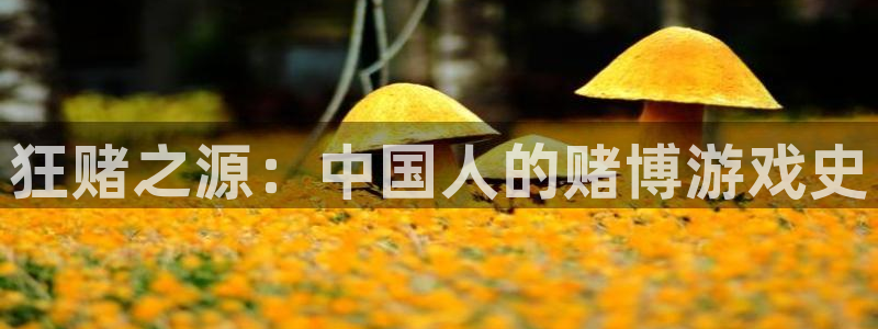 星空影视剧