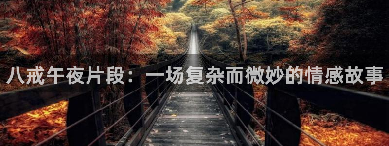 星辰影院高清版免费观看