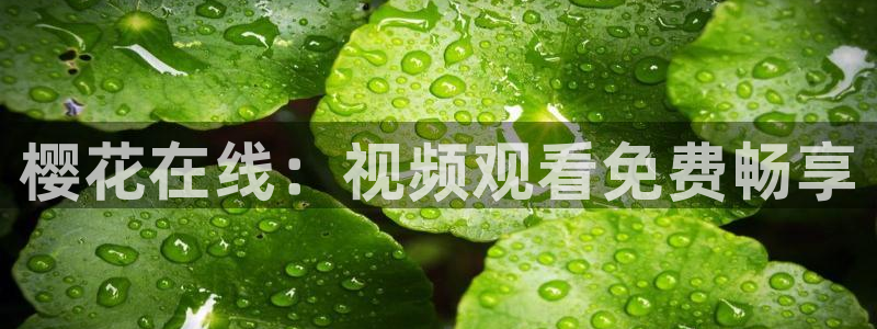 星空影音