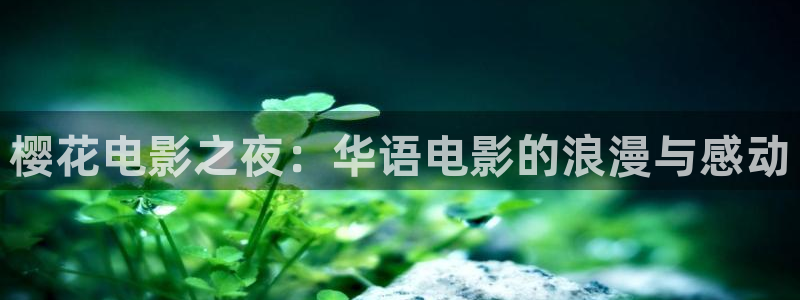 星空下的少年动漫电影免费观看
