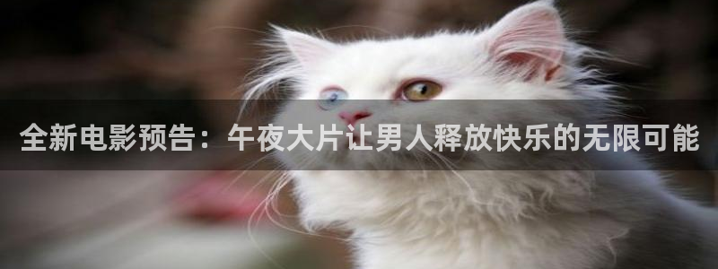 星空无限电视剧免费观看策驰影院