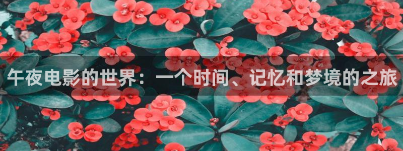 星辰影院高清免费观看电视剧大全