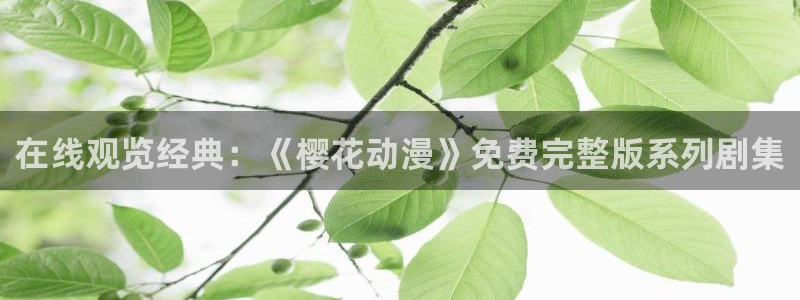 星空传媒高清免费观看
