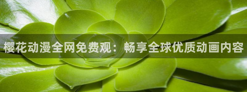星空图片