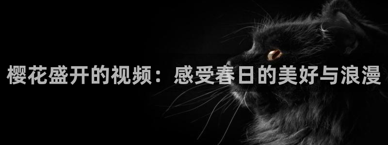 丹寨县星空影城