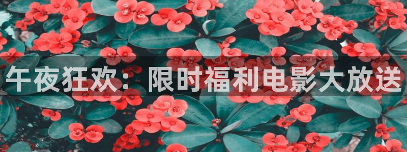 星空影视无限传媒