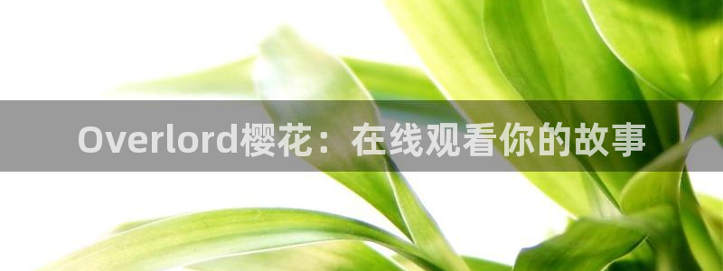 星空影视2020