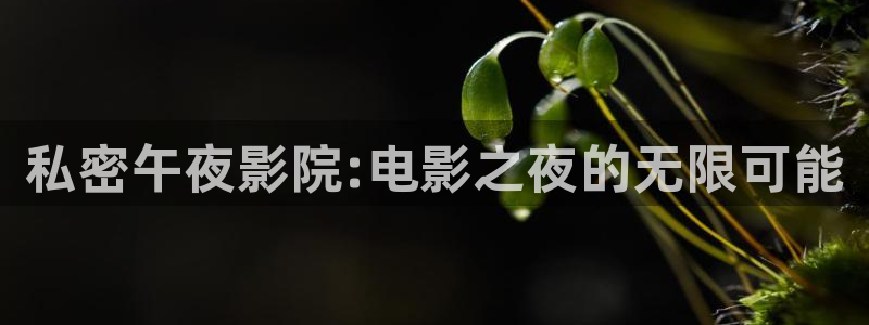 星空影视剧