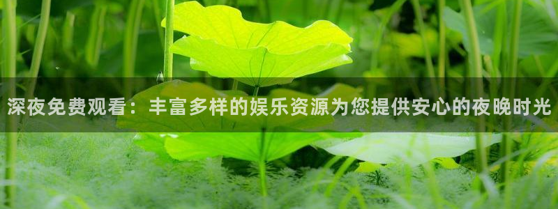 星空影视app官网
