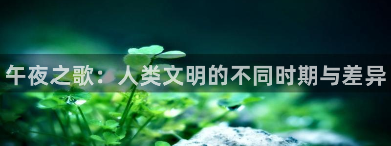 不忠星辰影院