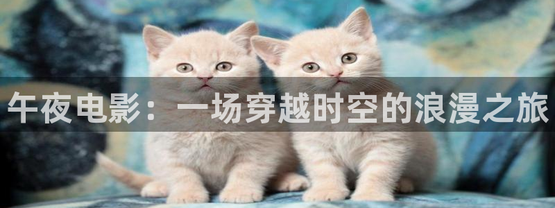 星空传媒免费观看电影