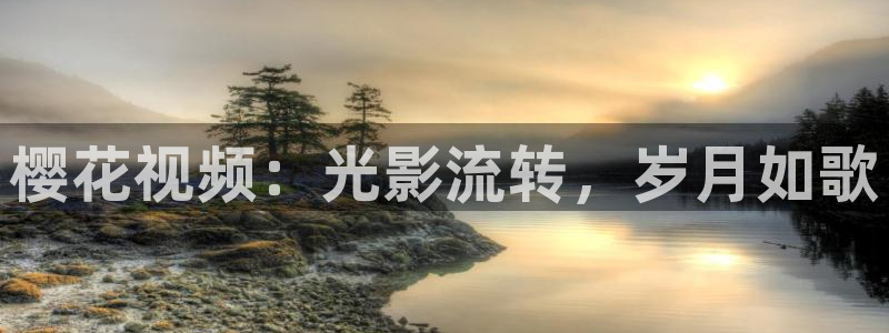 星辰影院免费观看